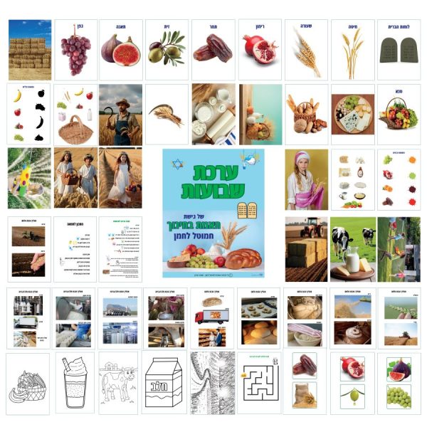 ⁦ערכת שבועות⁩ – תמונה ⁦2⁩